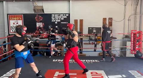 Boxing sparring