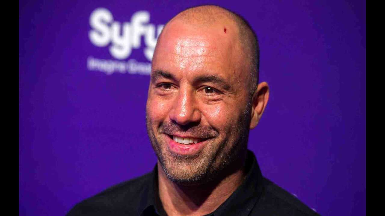 Joe Rogan Gives Brutal Analysis Of Situation Facing Bud Light