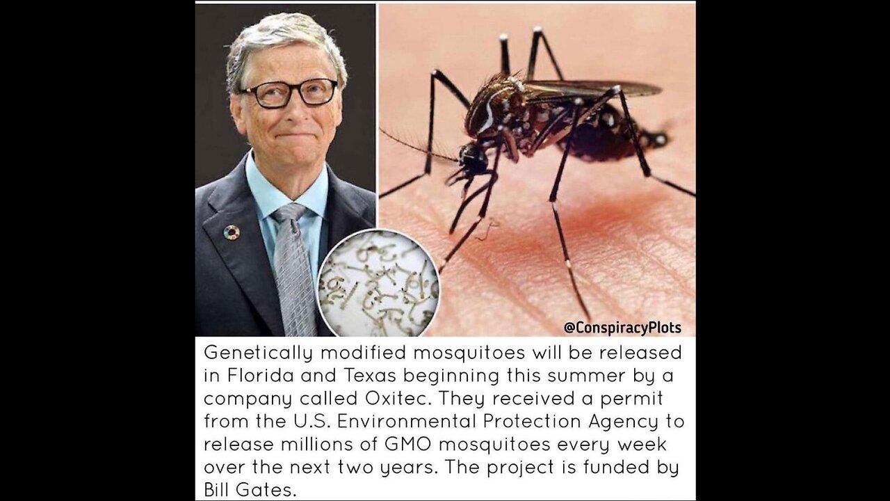 Bill Gates IS Releasing Genetically Modified Mosquitoes, Now YOU Know Why!