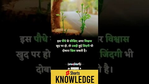 Motivational Quotes Intresting Facts lifestyle & research #shorts #ytshorts #knowledge #motivation