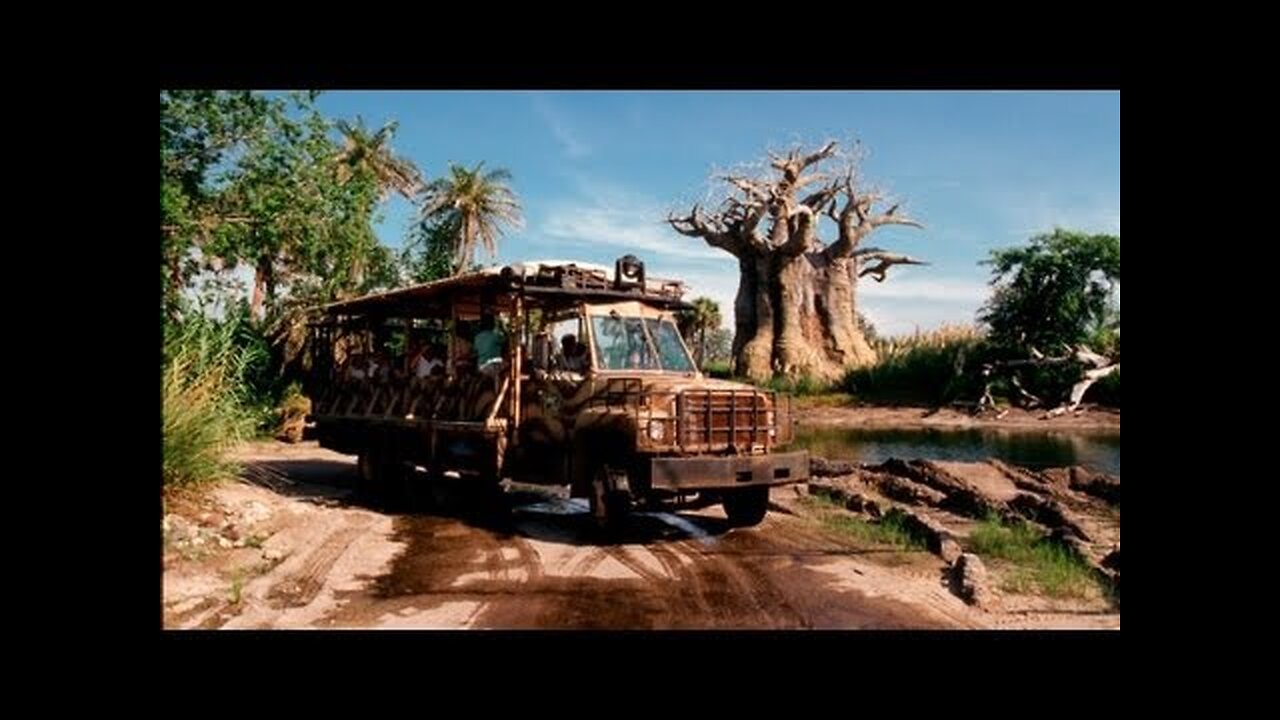 Kilimanjaro Safaris at Walt Disney World's