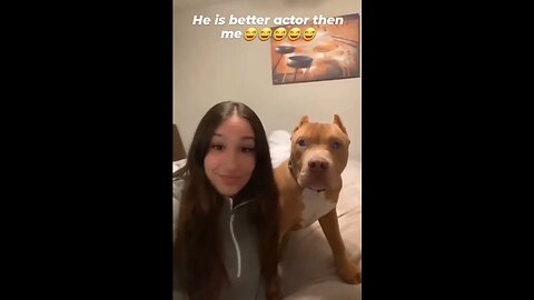 Dog and girl Funny videos 🐶🐕💜💗