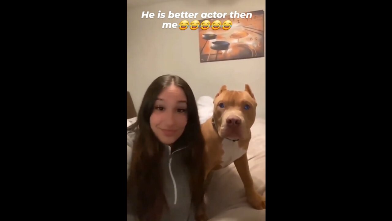 Dog and girl Funny videos 🐶🐕💜💗