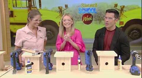 Live's Summer School: Building Birdhouses with Monica Mangin