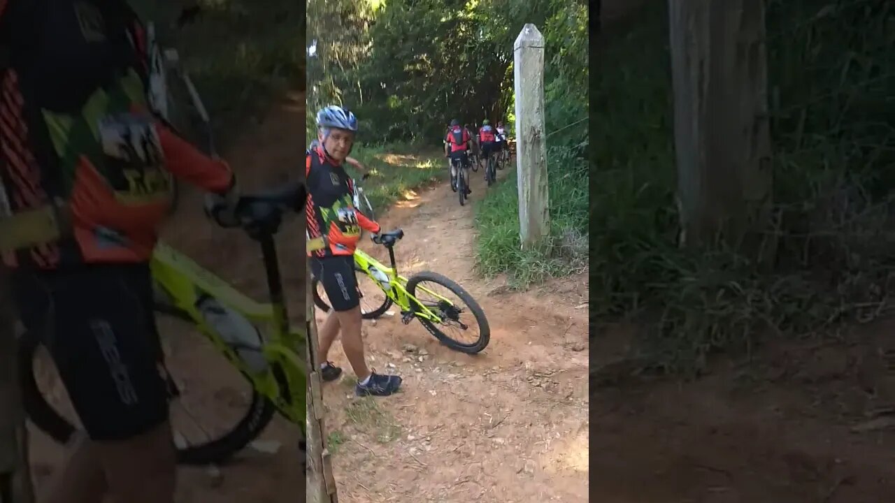 Gado Manso na Santa Lídia Joaquim Egídio #biketube - 042 #shorts