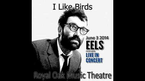 Eels - I Like Birds