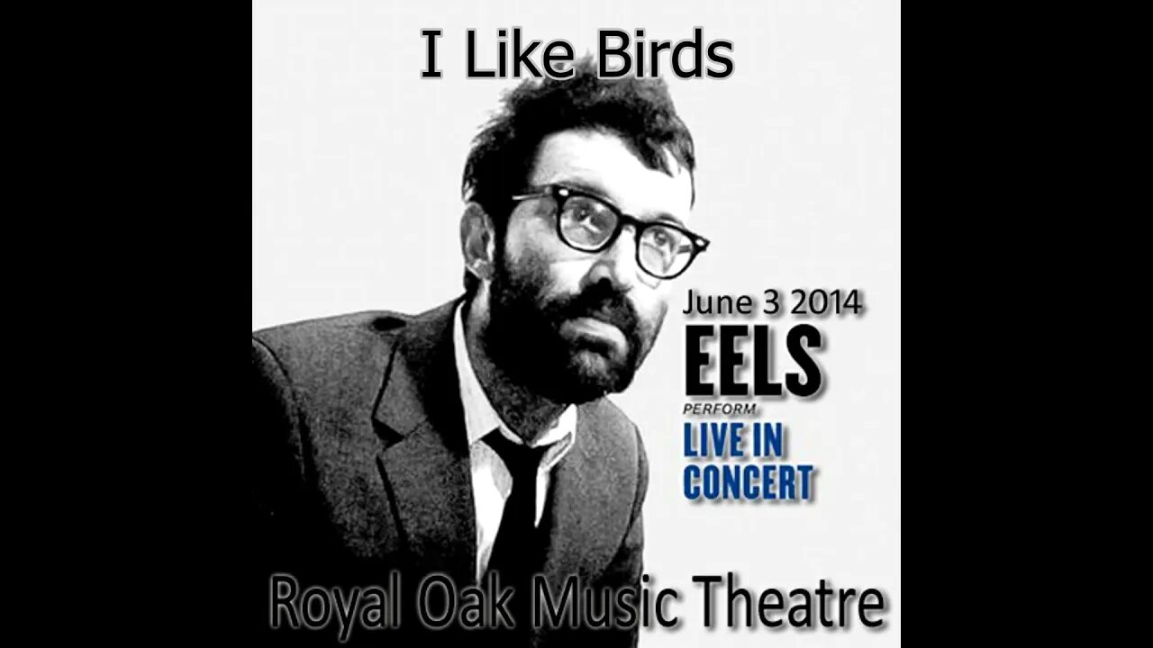 Eels - I Like Birds