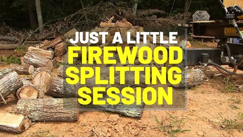 #150 Splitting Firewood For Firewood Bundles - Champion 27 Ton Log Splitter