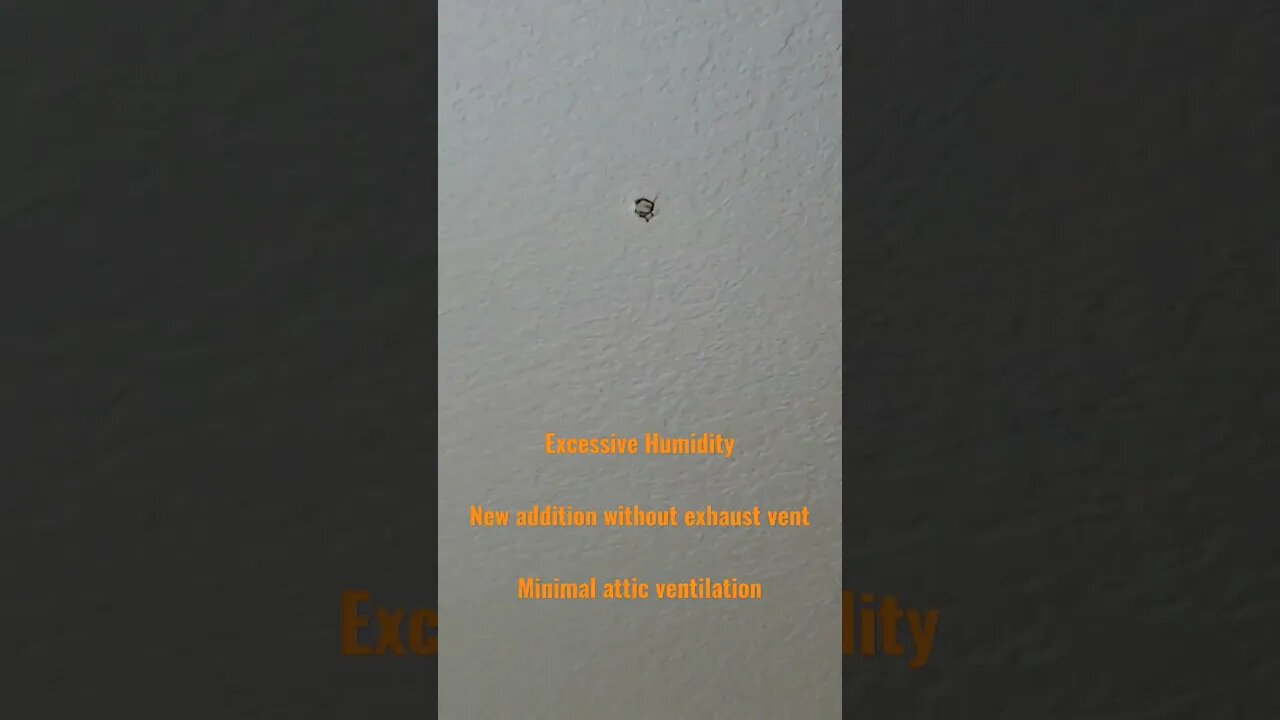 Termite damage at laundry room ceiling