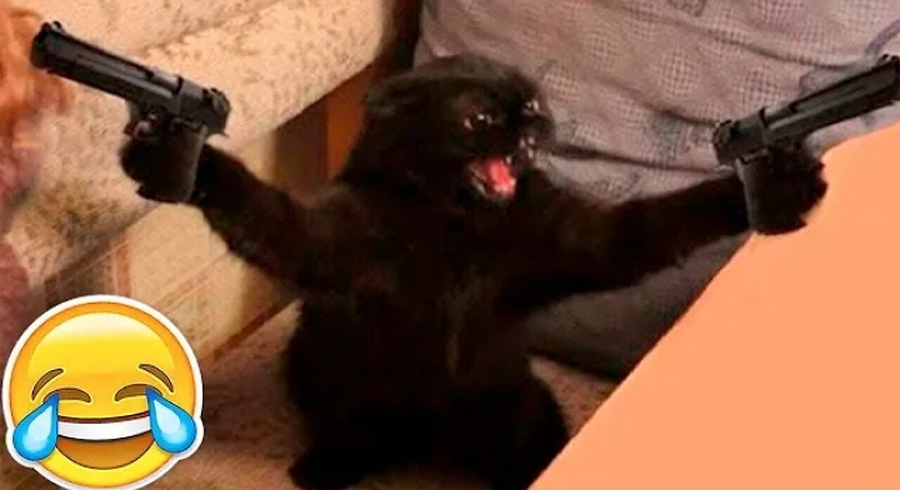 Try not to laugh🤣 Funny animals