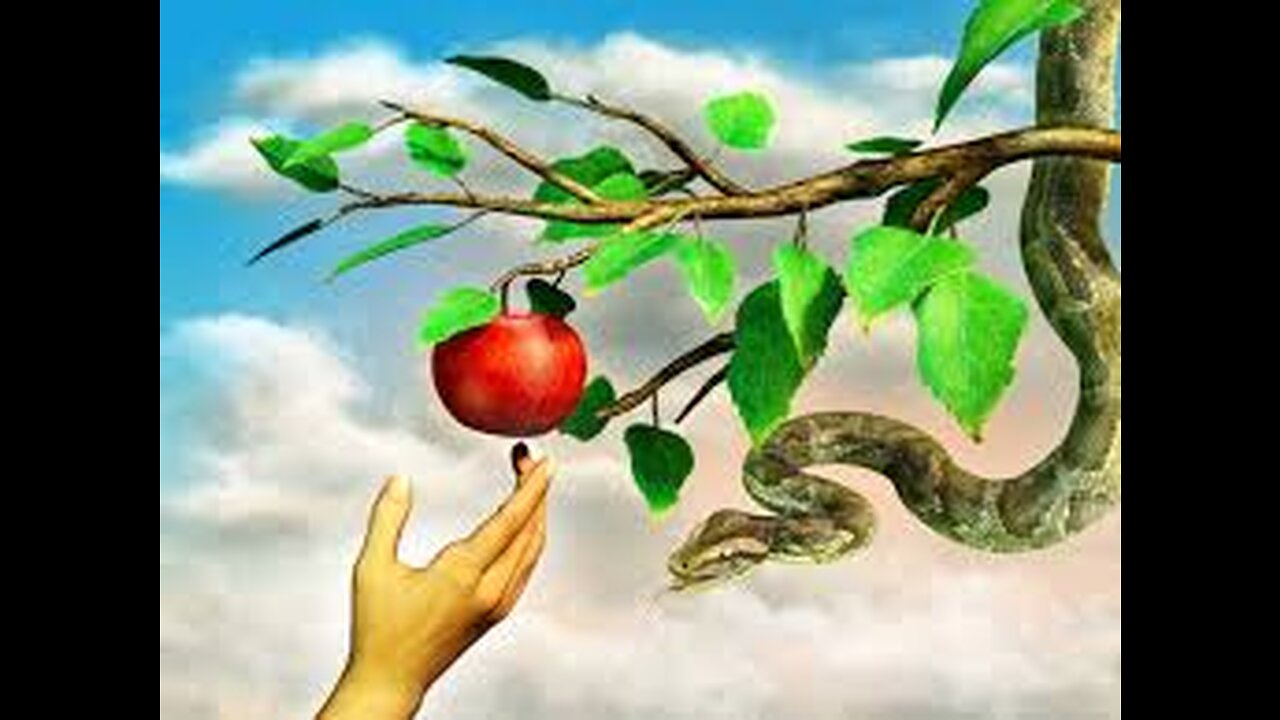 The Narcissist Choses To Bite The Apple