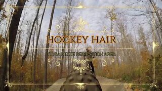 Hockey Hair Trail, Tioga State Recreation Area MN.