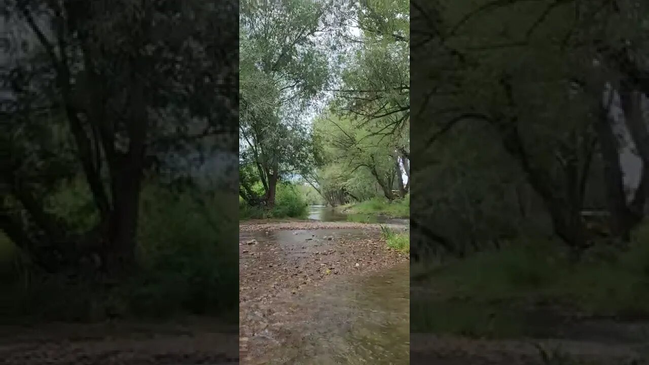 crossing the river