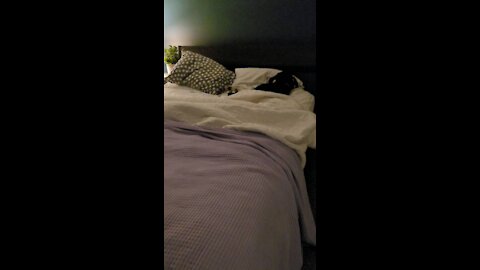 Who is sleeping in my bed?