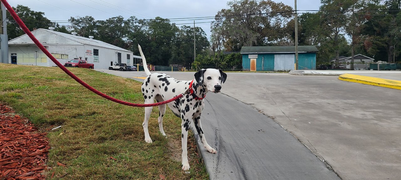 Luna at Ridgeland SC Tesla Charging Station