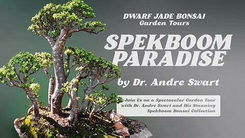 Spekboom Paradise - Dwarf Jade Bonsai, Garden Tours with Dr. Andre Swart