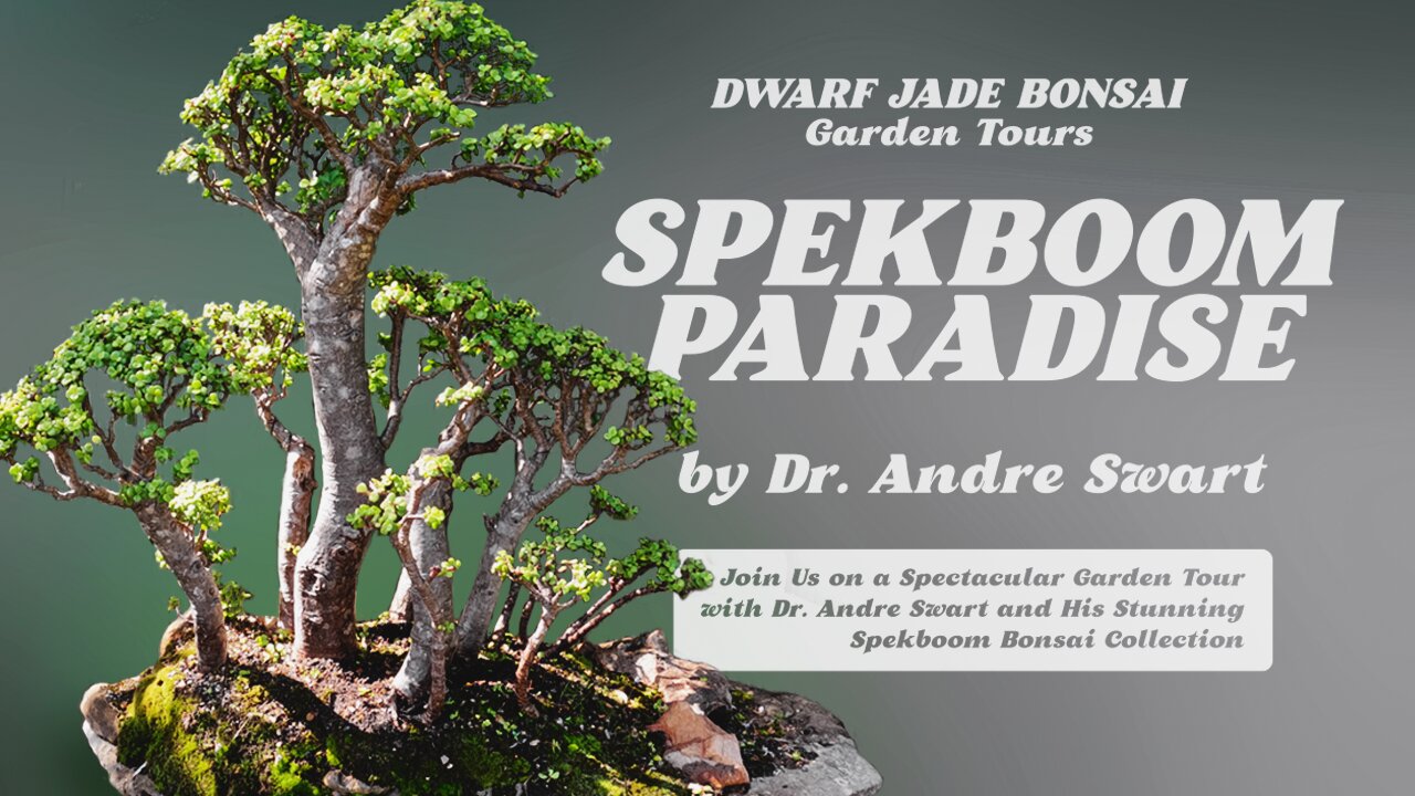Spekboom Paradise - Dwarf Jade Bonsai, Garden Tours with Dr. Andre Swart