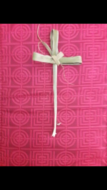 Palm Sunday & Defeat the Mandates