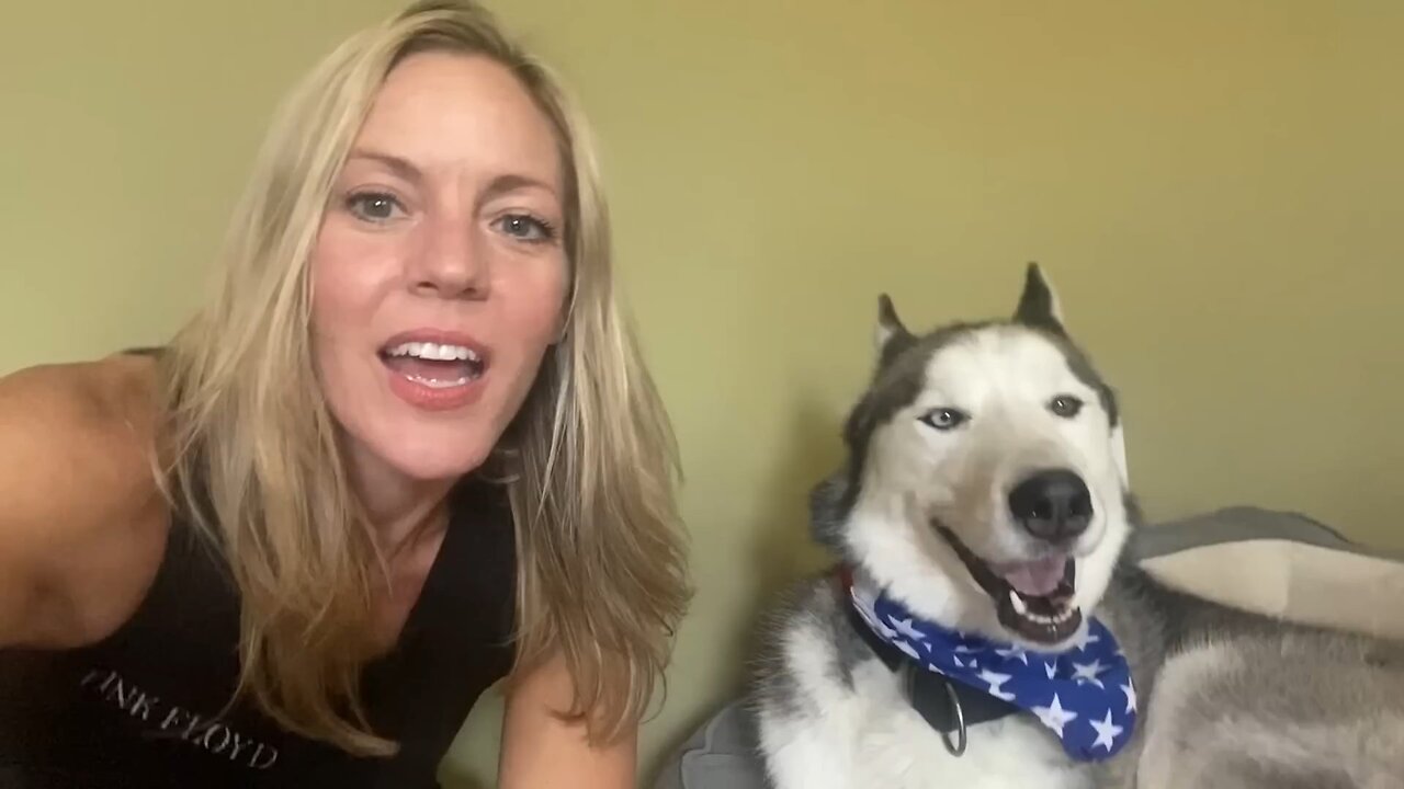 Funniest pet compilation part 2