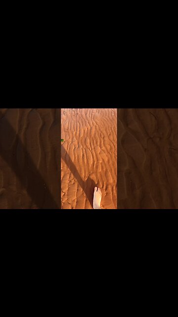 This is the Perfect Part of the Sand to Walk on at the Beach