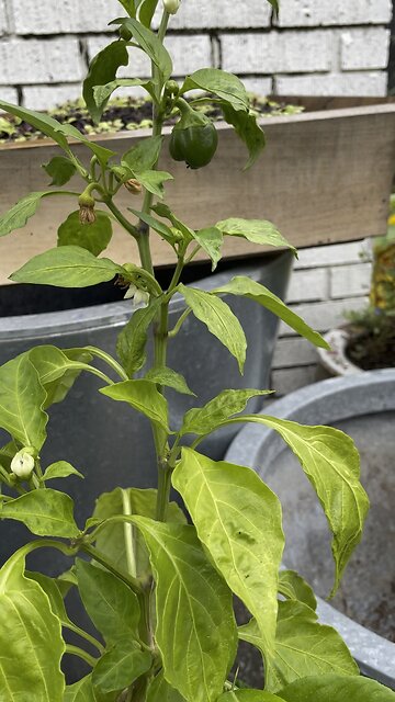 ‼️BE PREPARED‼️