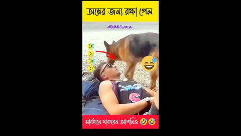 যেখানে সেখানে শুয়ে পড়লে এমনই হয় দেখুন 🤗🤗🤗