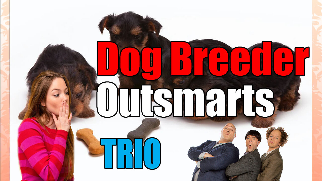 news of the bizarre Dog 🐶Breeder outsmarts Trio of Thugs