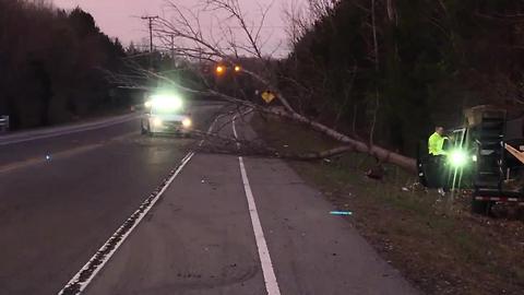 Tree Falls Onto Bell Road After Crash