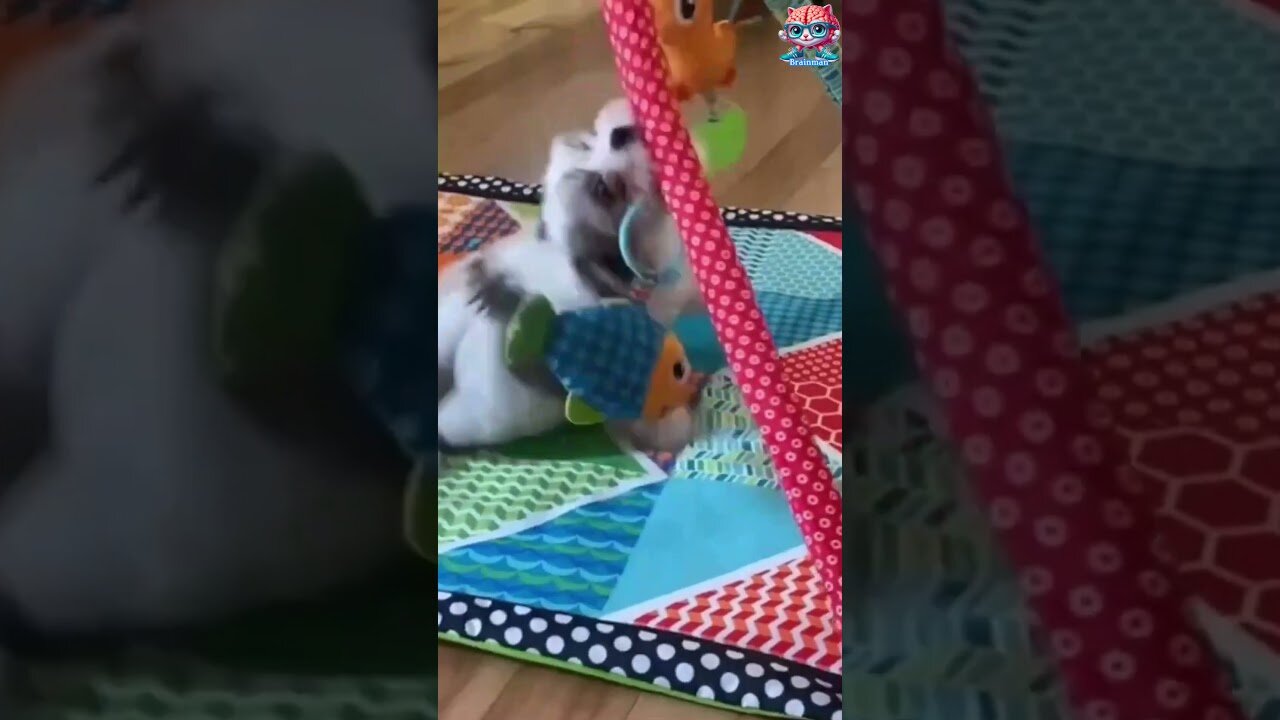 FLUFFY AND FUNNY!