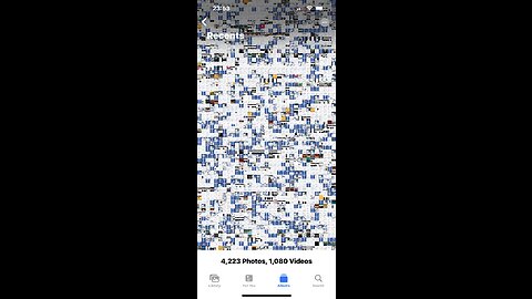 🦅🌍💔🌎💔🌍🦅