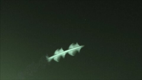 IDENTIFIED Barbell UFO ET Drones Over Adelaide March 2023