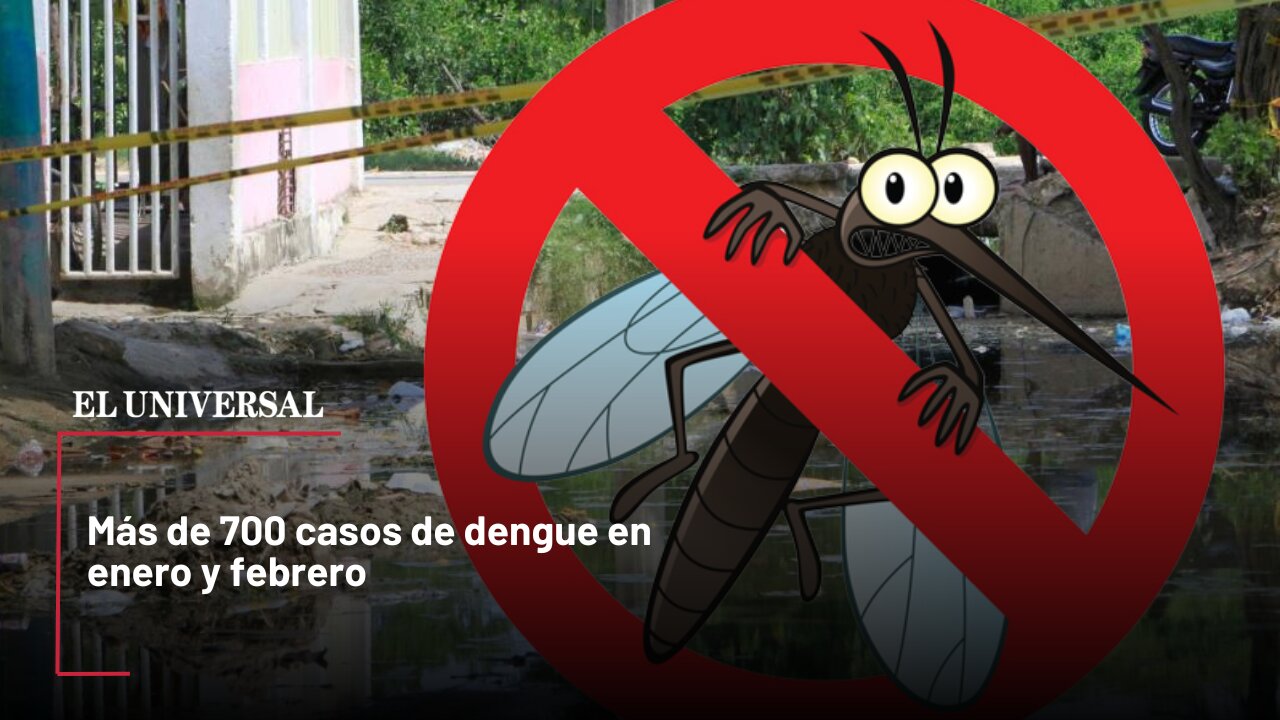 Más de 700 casos de dengue en enero y febrero