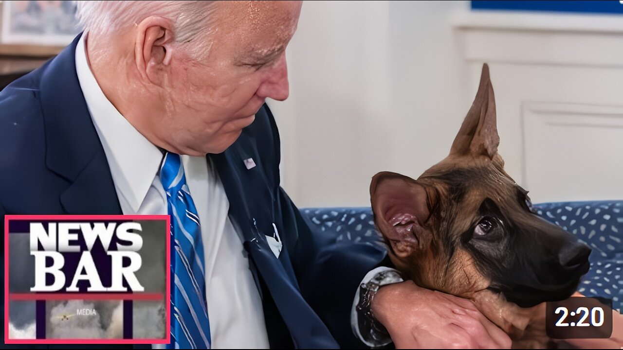 Biden 'repeatedly watched' dog Commander attack Secret Service: Report