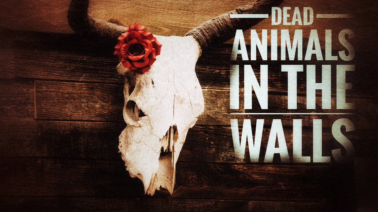 Horror stories Dead Animals in the Walls Creepypasta