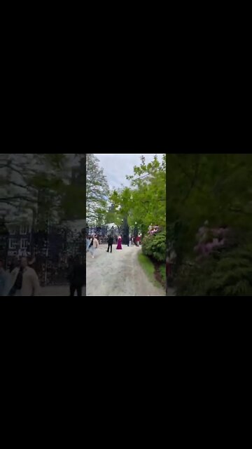 Pretty flowers at Halifax Public Gardens