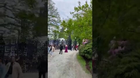 Pretty flowers at Halifax Public Gardens