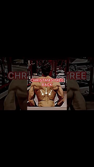 🎄BACK MUSCLE #shorts #christmastreeback #back
