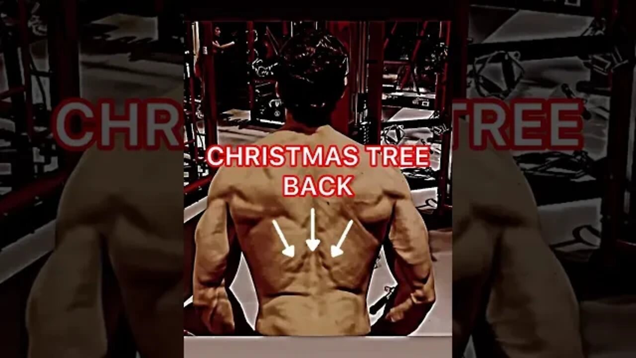 🎄BACK MUSCLE #shorts #christmastreeback #back