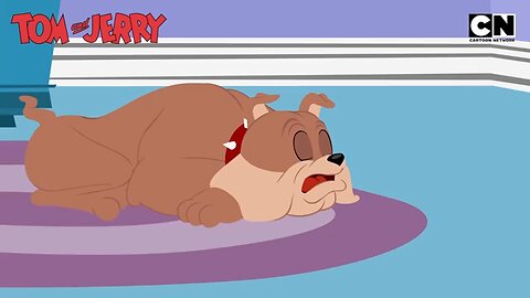 Tom & Jerry