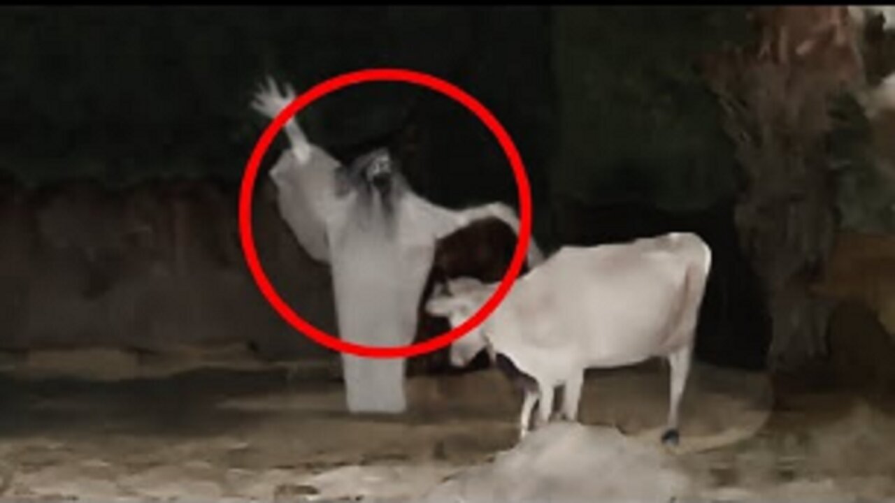 SCARIEST VIDEOS I FOUND ON THE INTERNET THAT WILL SHOCK YOU