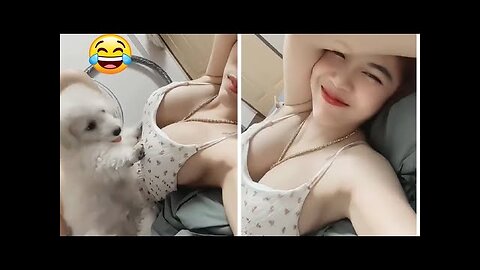 Funny Animal Videos 2023 🥰 - Funniest Dogs and Cats Videos