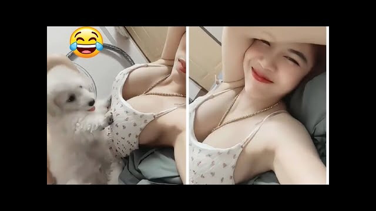 Funny Animal Videos 2023 🥰 - Funniest Dogs and Cats Videos