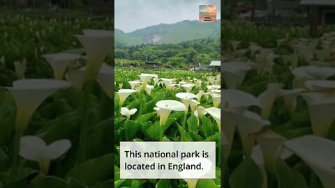 Explore the 10 Beautiful Places in Europe to Visit Part 3 #shorts
