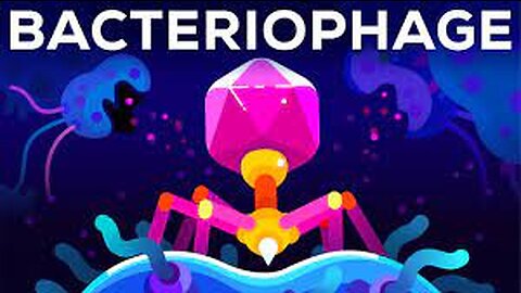 Unleashing the Microscopic Predators: The Bacteriophage – Earth's Most Lethal Organism