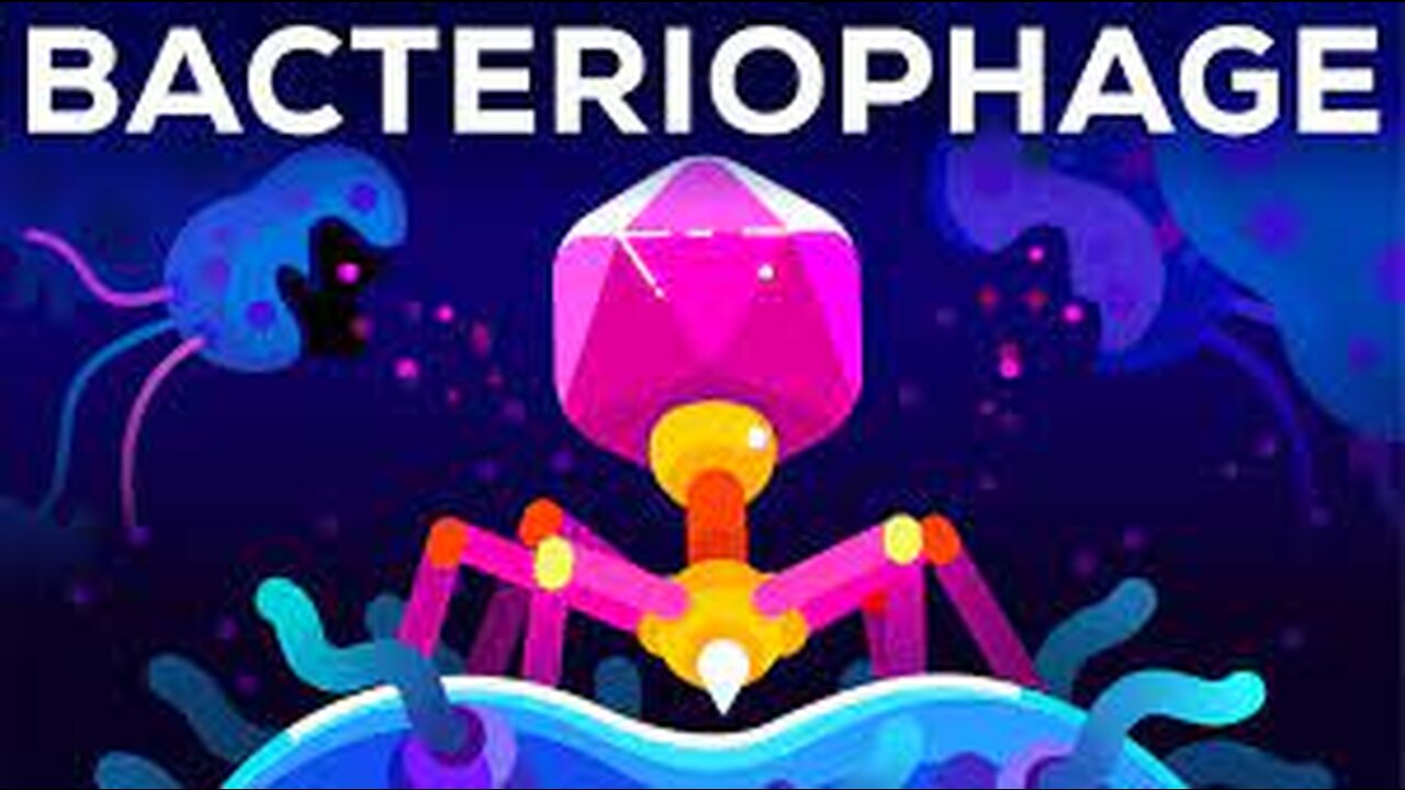 Unleashing the Microscopic Predators: The Bacteriophage – Earth's Most Lethal Organism