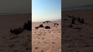 A huge empty beach