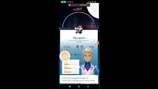 Live de Pokémon GO - Dia Comunitário de Zigizagoon