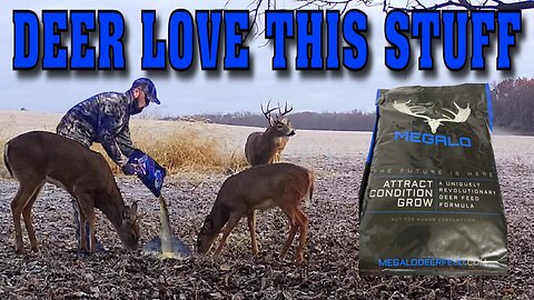 Ohio Bow Hunt Part 3 - New Deer Attractant that Deer LOVE!