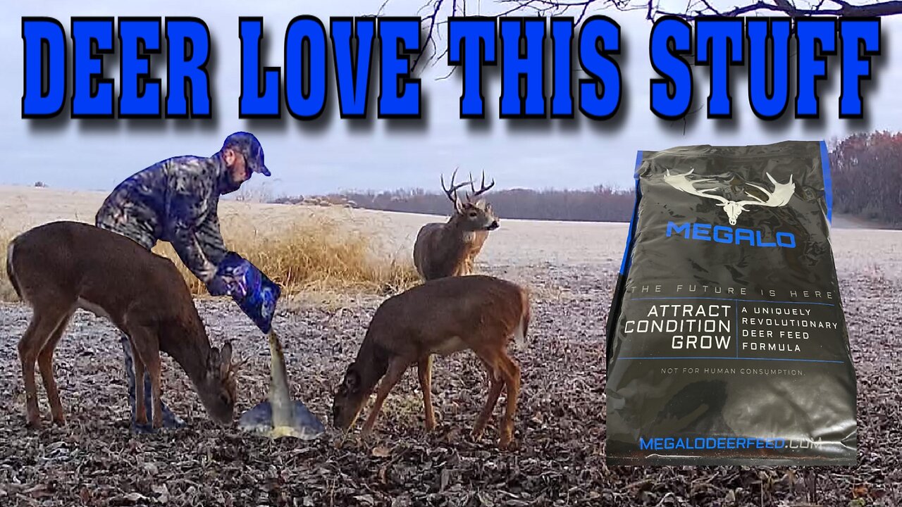 Ohio Bow Hunt Part 3 - New Deer Attractant that Deer LOVE!