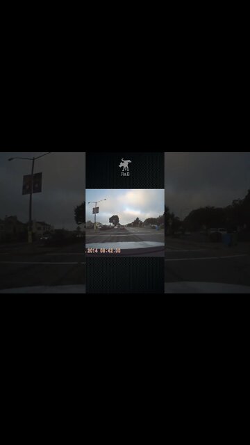 Bad Drivers: Bike Lane #shorts 141411